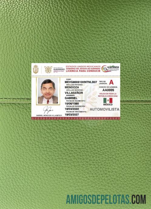 Carteira de motorista do estado de Guerrero no México fotolook frente exemplo real